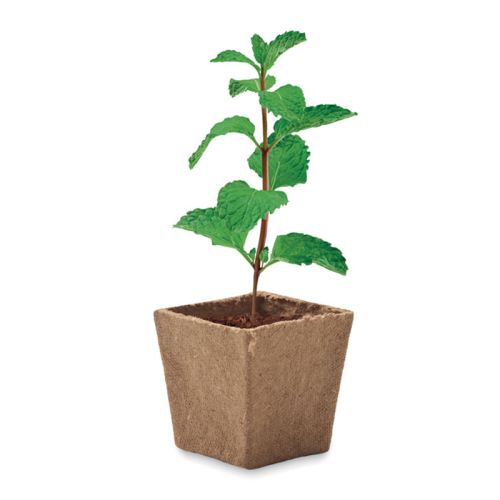 Biodegradable flower pot - Image 5